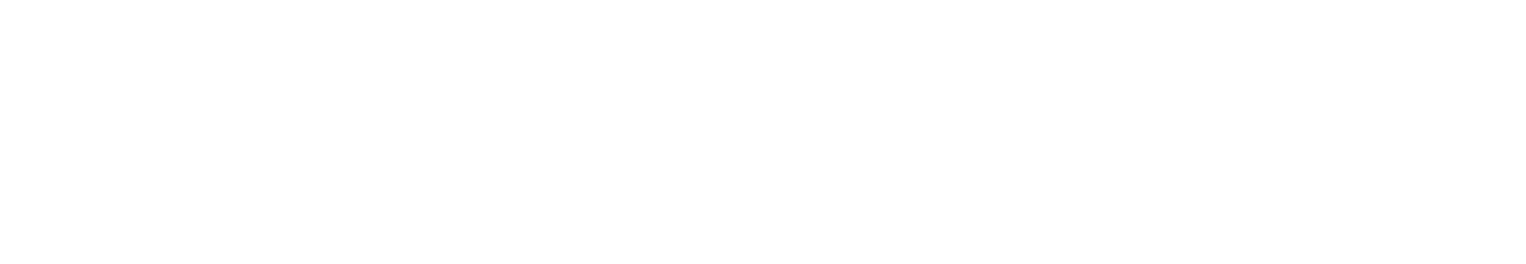 Havenstone Capital Logo, in white